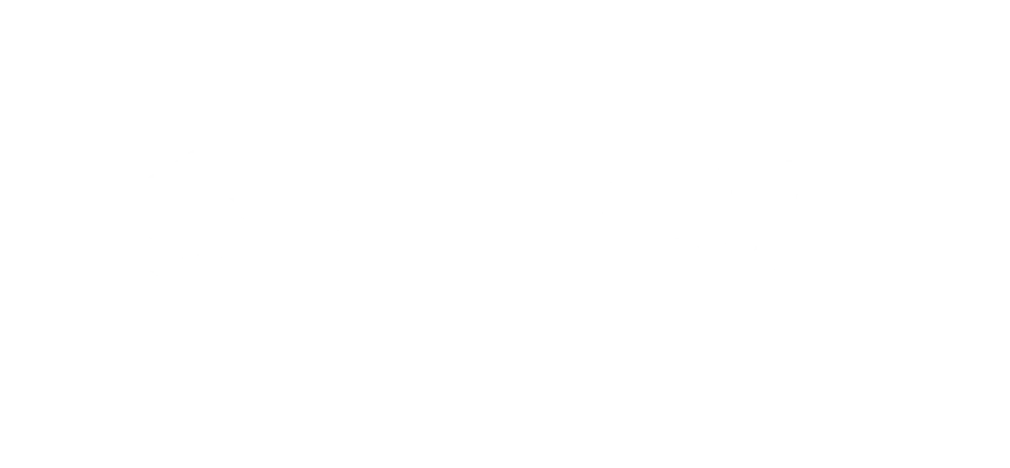 Synera